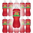 thumbnail image 6 of Tahitian Treat Fruit Punch Soda 20oz Bottles, Quantity of 16, 6 of 9