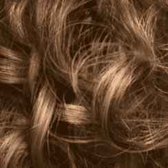 Almond Blonde