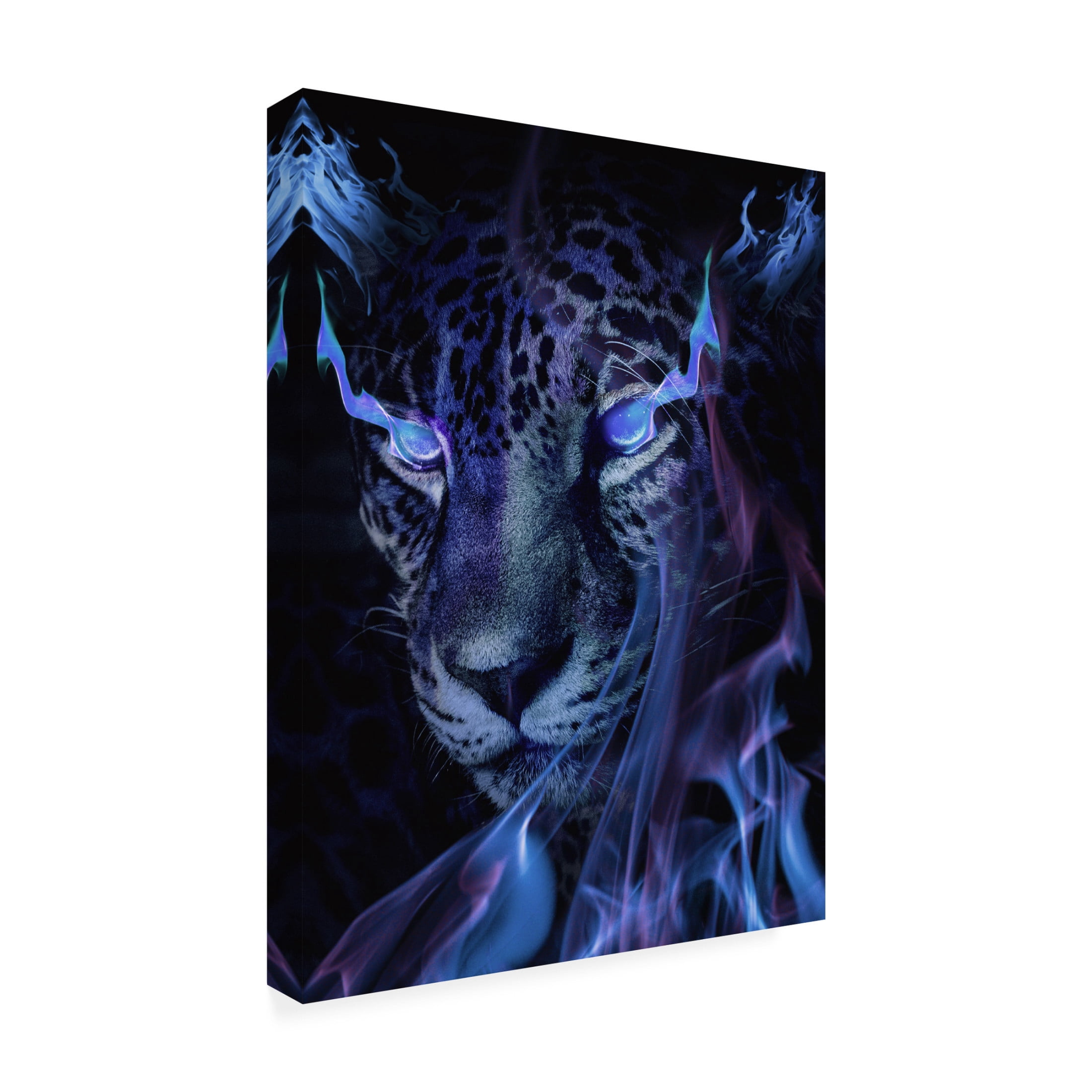 Canvas Wall Art - Al Barizi 'Mystical Tiger Darkness' Wall Art for Living Room, Bedroom, or Office D?cor by Trademark Fine Art - 35 x 47 Inches