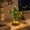 C, variant on LED Cactus Night Light, DIY Cactus Lamp, Halloween Christmas Tabletop Decor, Cute Night Light for Bedroom Living Room Bedside, Christmas Gift(A)