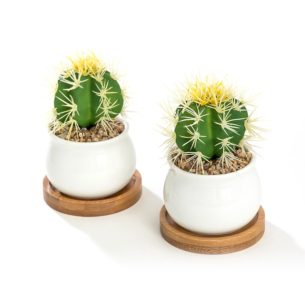 K-Cliffs White Jar Shape Design Ceramic Pots with Bamboo Tray, Set of Pot - 2.75L x 2.75W x 2H inches; Bamboo Saucer - 3.2L x 3.2W x 0.5H inches