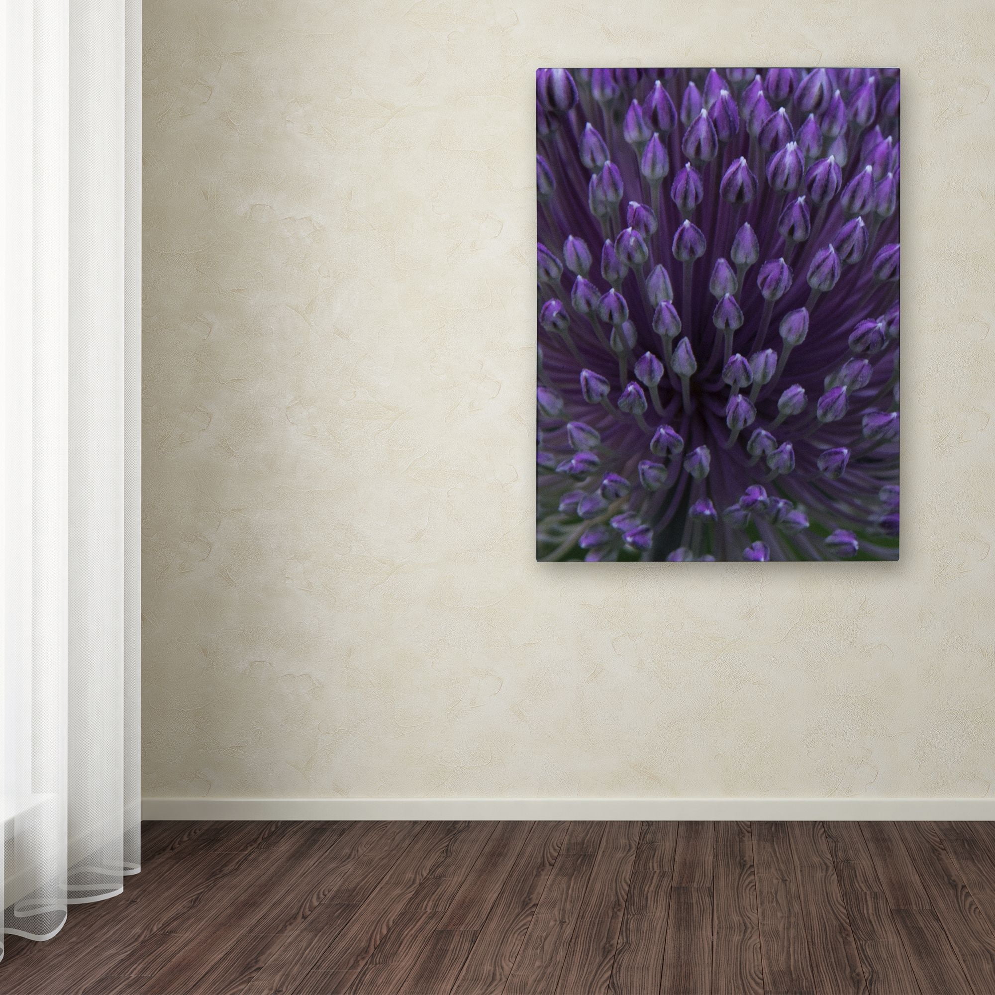 Trademark Fine Art "Alien Flower Pods" Canvas Art by Kurt Shaffer