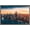 Barnwood Framed Version, variant on Cityscapes - Chicago, Illinois Wall Poster, 14.725" x 22.375", Framed