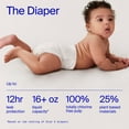 thumbnail image 3 of Coterie Ultra Soft Diapers Newborn (Size- N), 3 of 6