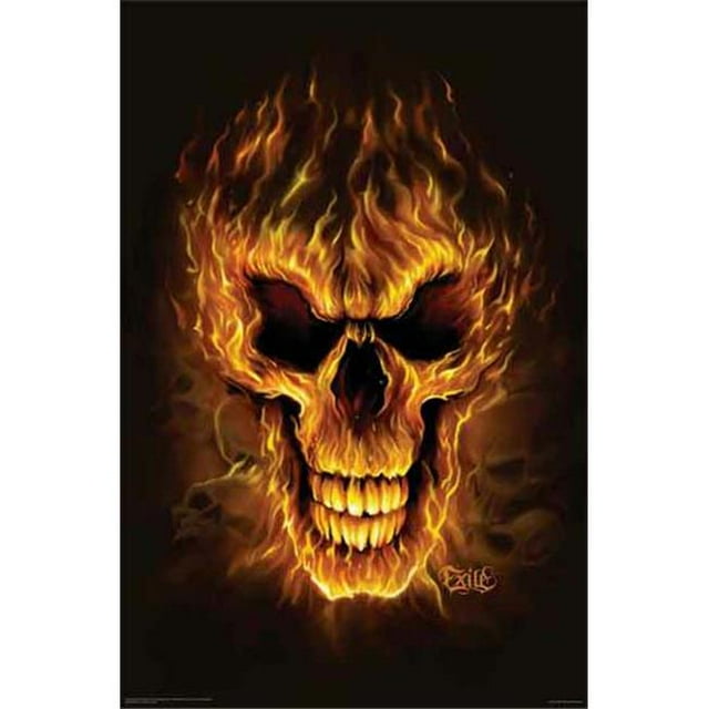 Hot Stuff 1058-16x20-SD Affiche Crâne Flamme