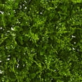 thumbnail image 2 of Nearly Natural 20" x 20" Artificial Fern Wall Panel (Indoor/Outdoor), 2 of 6