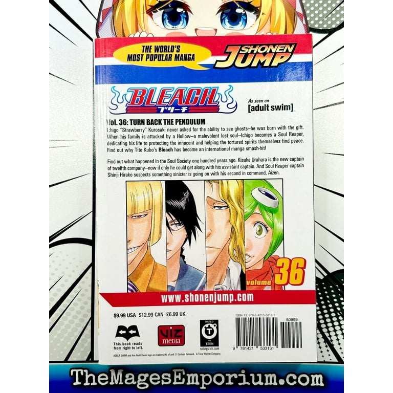 Bleach Bleach, Vol. 36, Book 36, (Paperback) - Walmart.com