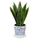 thumbnail image 1 of Planta de Serpiente Artificial Briful con Maceta Azul y Blanca, 1 of 6