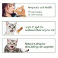 thumbnail image 4 of Natural Catnip Mint Cat Ball Cat Feather Treat Ball Juguete Cat Scratcher Ball Motion Activar l Carevas menta, 4 of 7