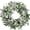 Lamb Ear Leaves With Berries, variant on 24 Inch Spring Summer Ivory Floral Wreath, Lamb Ear Leaves Greenery Wreath for Front Door, Rustic Farmhouse Artificial Flower Wreath for Indoor & Outdoor Decor