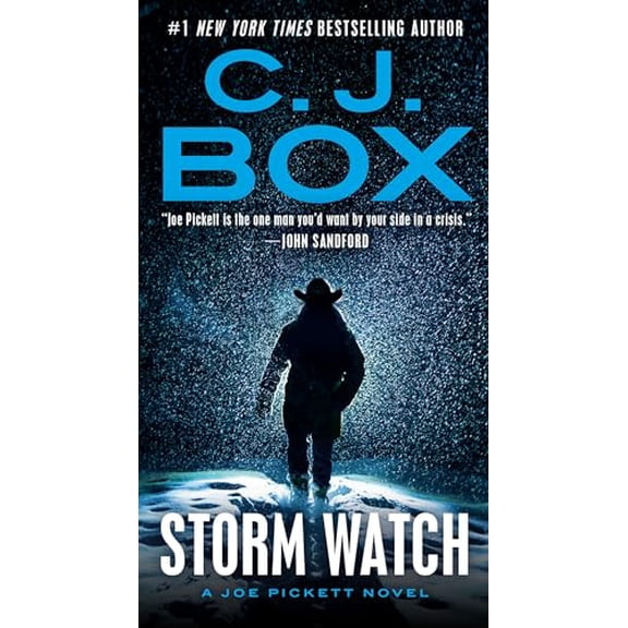Pre-Owned Storm Watch (Mass Market Paperback) 0593331338 9780593331330