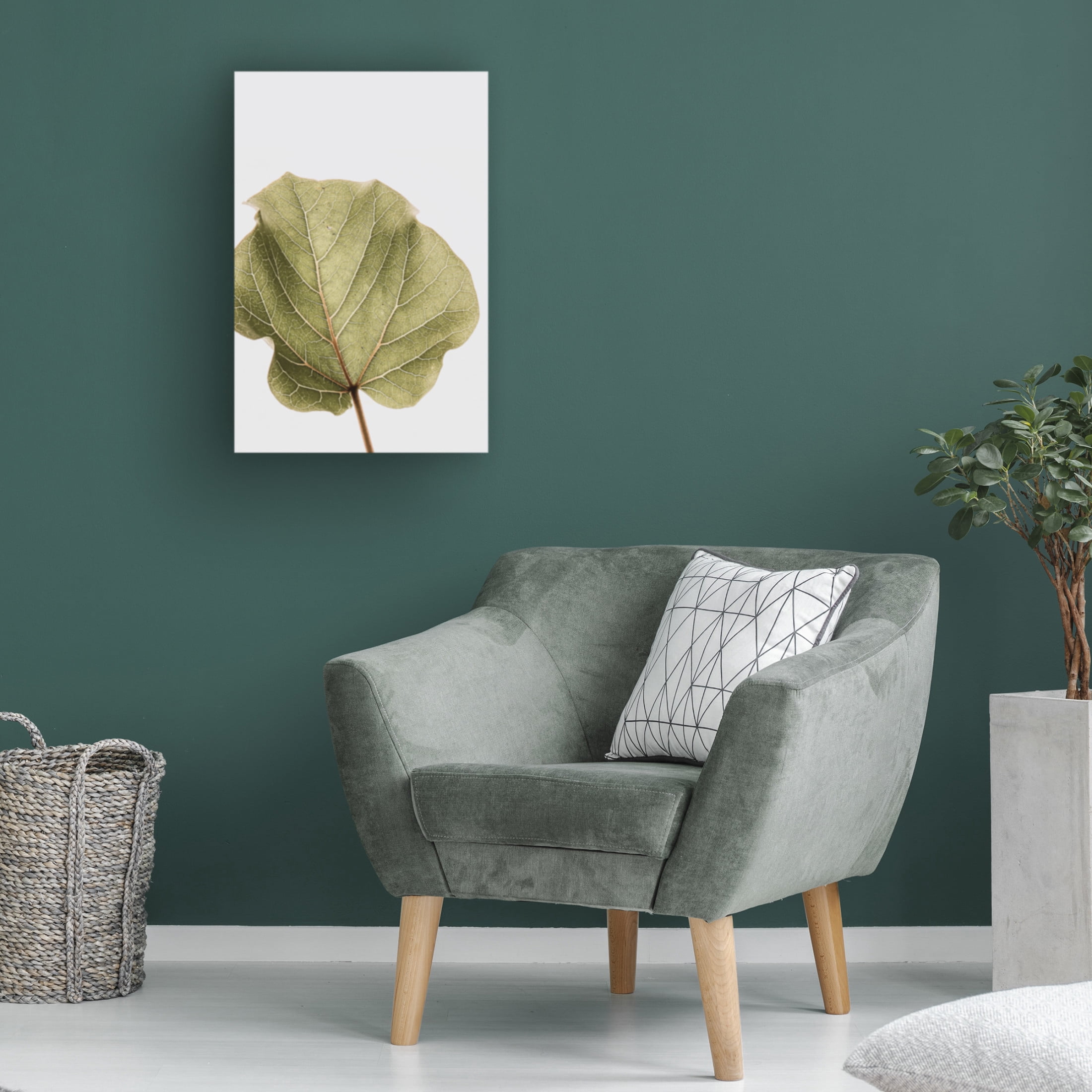 Trademark Fine Art Shot by Clint Abutifolia Noe Canvas Wall Art