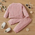 thumbnail image 4 of IBTOM CASTLE Unisex Baby Girls Boys Cotton Twist Knit Sweater Long Sleeve T-Shirt Tops + Long Pants 2PCS Outfit Fall Winter Warm Clothes 2-3 Years Pink, 4 of 8