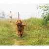Gen7Pets SonicGuard Ultrasonic Flea and Tick Protection