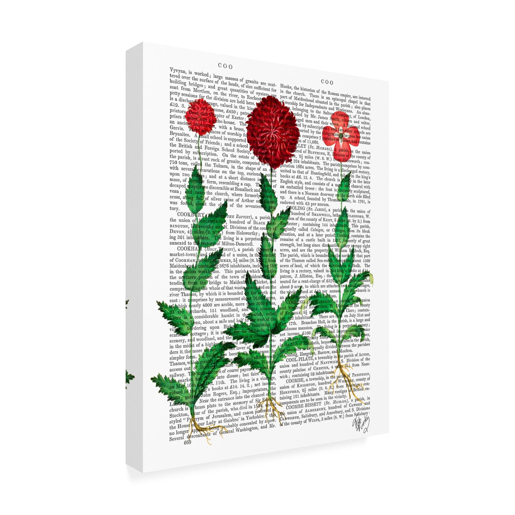 Trademark Fine Art 'Italian Carnation 2' Canvas Art by Fab Funky