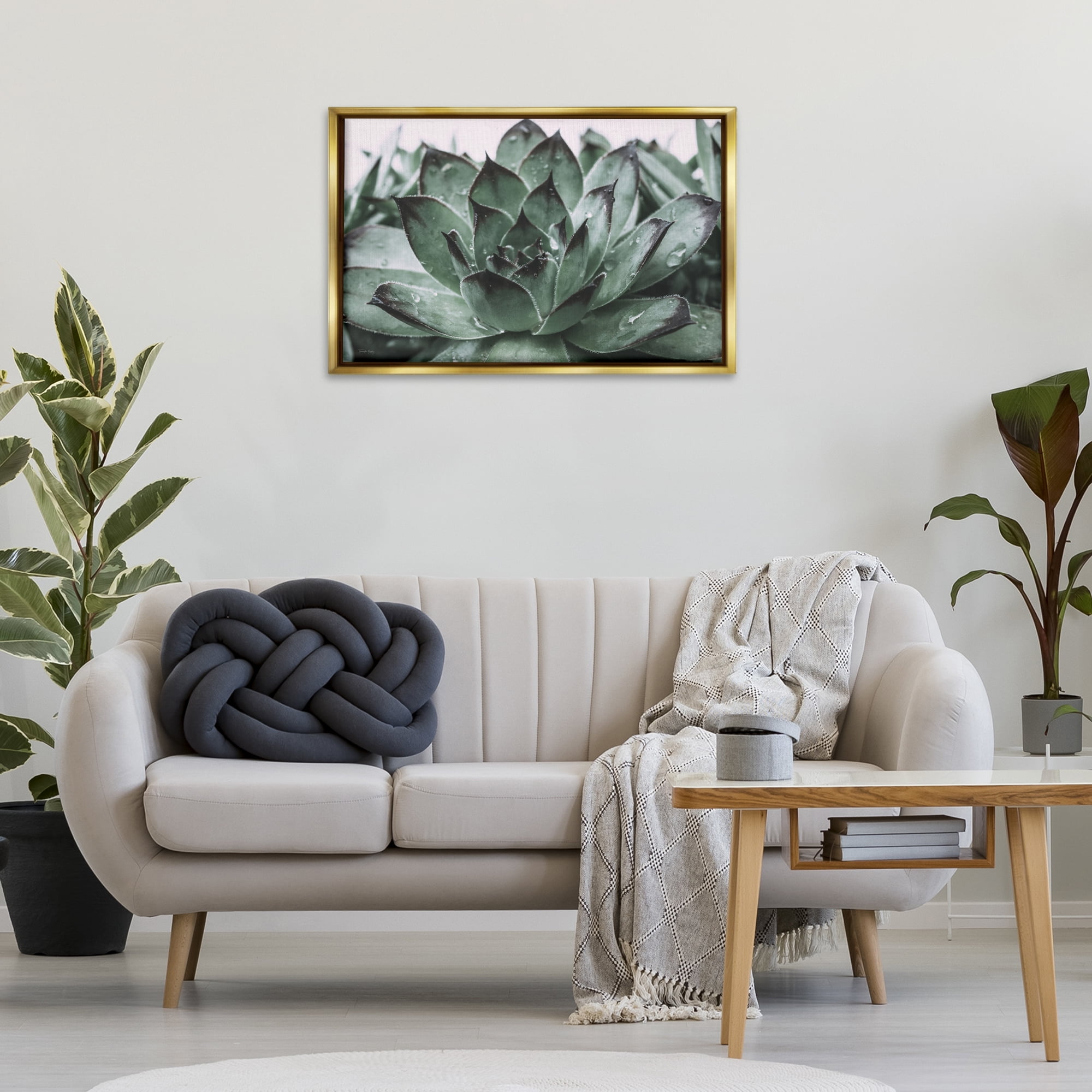 Stupell Industries Succulent with Rain Droplets Plants & Flowers Painting Gold Floater Framed Canvas Art Print Wall Art, 31 x 21