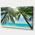thumbnail image 2 of Designart 'Palm Hanging over Sandy White Beach ' Seashore Photo Canvas Art Print, 2 of 3