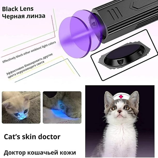 Protecteur de lampe chauffante pour portée chiot et chaton