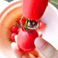 thumbnail image 5 of Cortador de fresas, pelador de fresas, removedor de tomates, para la preparación de frutas en la cocina, 5 of 5