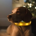thumbnail image 3 of kusrkot Bright LED Cat Nylon Luminous Necklace Supplies Puppy LED M, 3 of 9