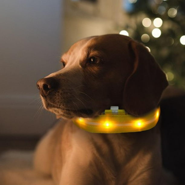Collar de perro con Flash Ajustable Glow Neck Loop Arnés de perro luminoso Suministros de nylon Accesorios Luz de noche LED para Pet , amarillo, l Yinane Collar luminoso