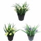 thumbnail image 5 of Planta artificial Flor artificial Planta verde artificial en maceta Flor artificial Clivia Chlorophytum Planta en maceta Adorno decorativo Flor artificial (rosa) ER, 5 of 5
