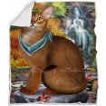 thumbnail image 1 of Scenic Waterfall Abyssinian Cat Blanket BLNKT110460, 1 of 3