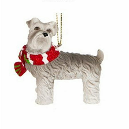 miniature schnauzer with red and white scarf christmas miniature schnauzer with red and white scarf christmas