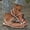 White, variant on Women's Butterfly Metallic Rhinestone Sandals Wrap-around Strappy Flat Sandals (Gold 5)