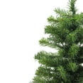 thumbnail image 3 of 2' Medium Natural Two-Tone Pine Artificial Christmas Tree - Unlit, 3 of 5