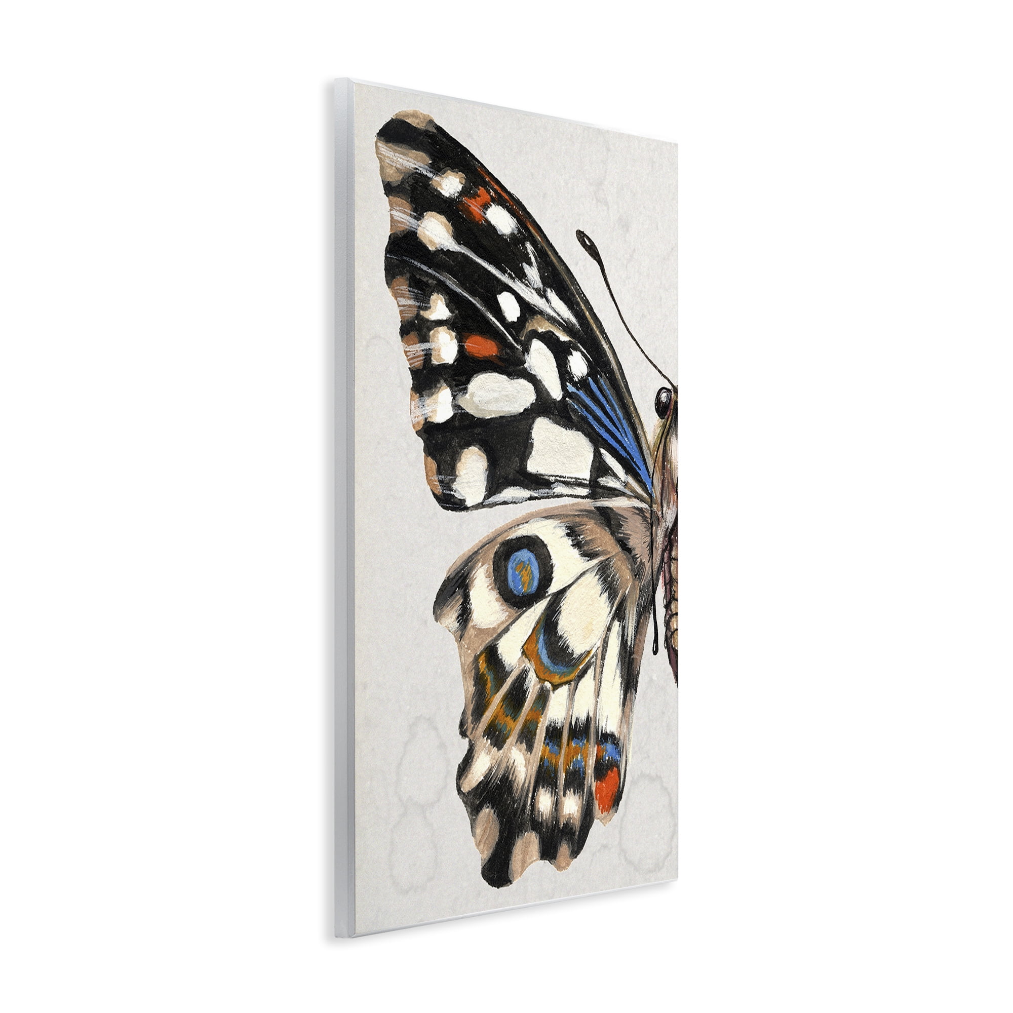 Stupell Industries Spotted Butterfly Wing Animals & Insects Painting Unframed Art Print Wall Art, 13 x 19