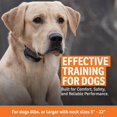 thumbnail image 3 of Collar de adiestramiento SportDOG SportTrainer 875 resistente al agua con control remoto, 0,8 km, 3 of 8