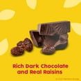 thumbnail image 3 of Raisinets, Dark Chocolate Covered California Raisins, Resealable Bag, 8.0 oz, 3 of 9