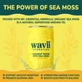 thumbnail image 6 of Wavii Hydration Organic Coconut Water with Organic Sea Moss, Variety Pack, 11 fl oz, 12 Cans, 6 of 10