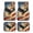 American Flag Eagle Pattern, variant on Pzuqiu Bold Full Set 4-Piece Car Floor Mats with Fire Flame Print - Durable Non-Slip All Weather Interior Protection