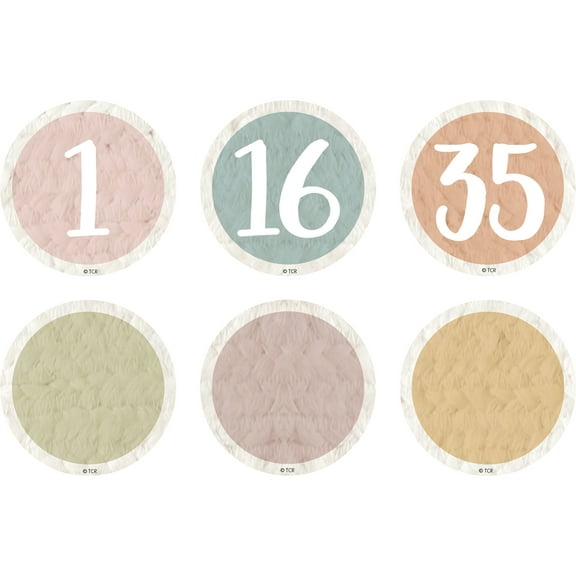 Teacher Created Resources Everyone is Welcome Numbers Magnetic Accents, Pack of 42