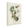 thumbnail image 2 of John James Audubon ' Redstart' Canvas Art, 2 of 3
