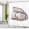 thumbnail image 4 of Ambesonne Oyster Shower Curtain, Closeup of Pearl Seashell, 69"Wx84"L, Dark Taupe and Pale Grey, 4 of 4