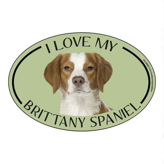 I Love my Brittany Breed Oval Magnet