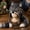Wolf, variant on Fantasy Hood Hat DIY Crochet Kit Series, Animal Hood Hat DIY Crochet Kit for Beginners, Complete Great Experience, Tutorial Guide, Yarn & Hook, Gift for Adults