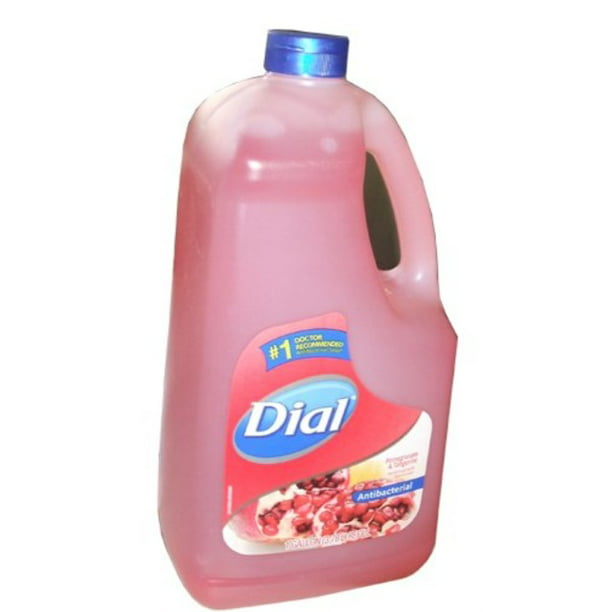 Dial Gold Antibacterial Hand Soap with Moisturizer Pomegranate and