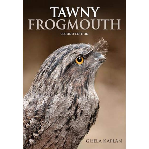 Pre-Owned Tawny Frogmouth (Paperback) 1486308163 9781486308163