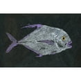 thumbnail image 3 of Marmont Hill "Pompano" by Warren Sellers Painting Print on Wrapped Canvas, 3 of 5