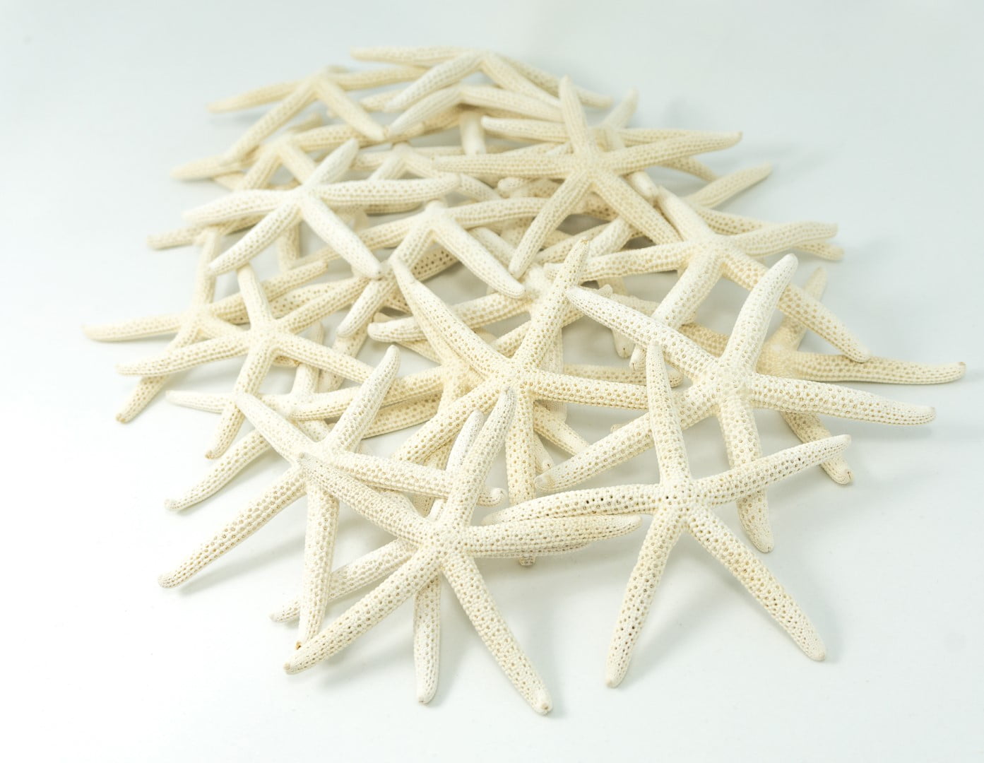 12 Beautiful White Finger Starfish 3-4" Beach Wedding Coastal Decor Crafts 