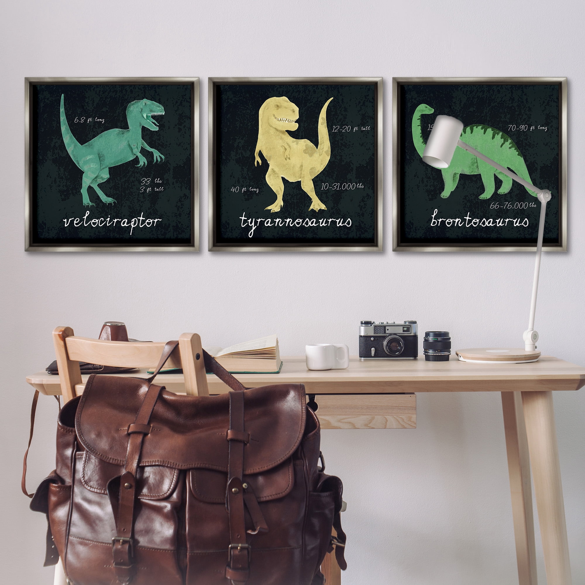 Stupell Industries Dinosaur Facts Chalk Inspired Design Animals & Insects Painting Gray Floater Framed Canvas Art Print Wall Art, 25 x 25, Set of 3