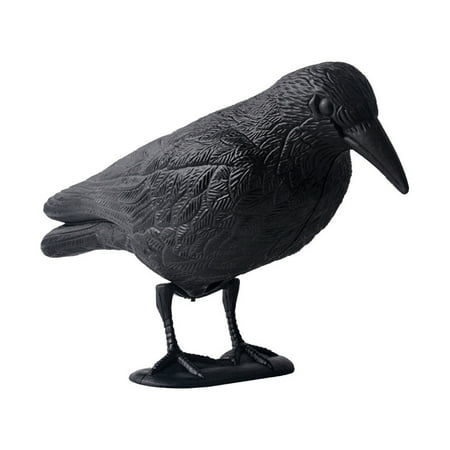 Crow Decoys Full Body Plastic Crow Decoy for Hunting Black Flocked Crow Decoy w/Feet Stake for Halloween Decor Yard Garden Decoration