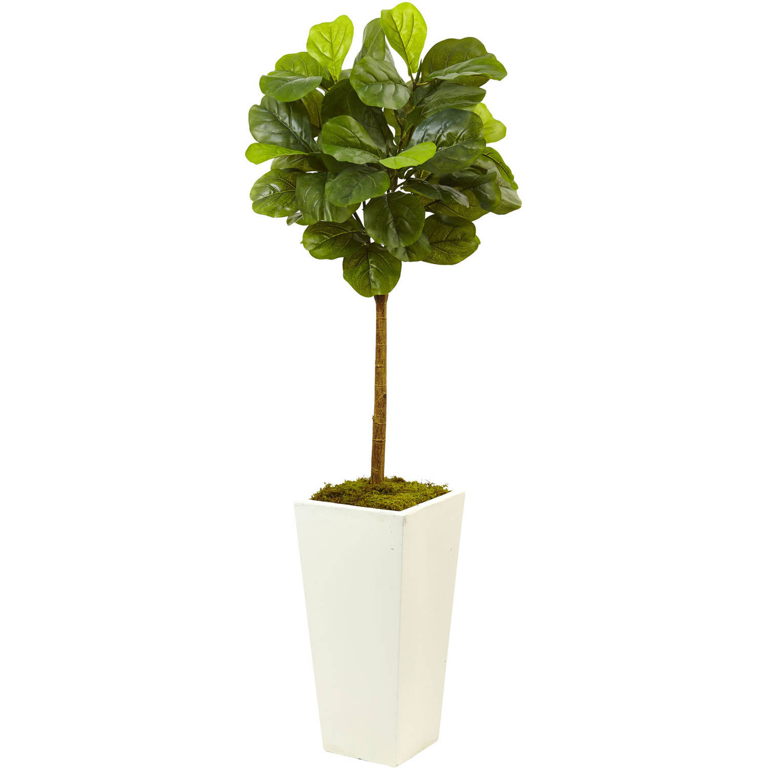Nearly Natural 4.5� Fiddle Leaf Fig in White Planter, Real