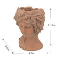 thumbnail image 3 of 8" X 9" Brown Greek Bust Planter, Cement Head Planter for Indoor & Outdoor Decor, 3 of 15