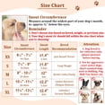 thumbnail image 3 of Bozal Para Perro Mayerzon de Malla Transpirable para Perros Pequeños, Medianos y Grandes, 3 of 7