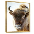 thumbnail image 4 of Close UP Of Wild Bison 24 in x 32 in Framed Photography Canvas Art Print, by Designart, 4 of 5